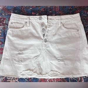 Mildly Distressed Skirt